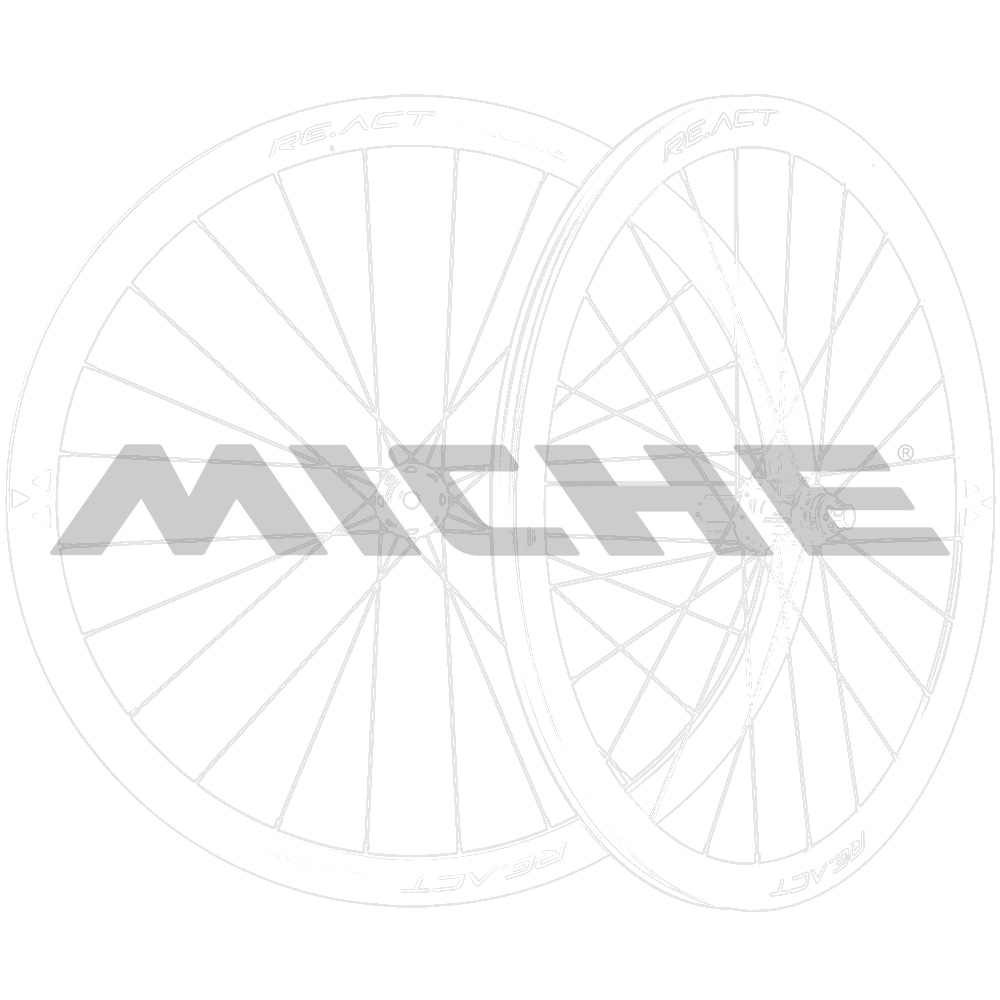 Спица Miche REVOX задн.