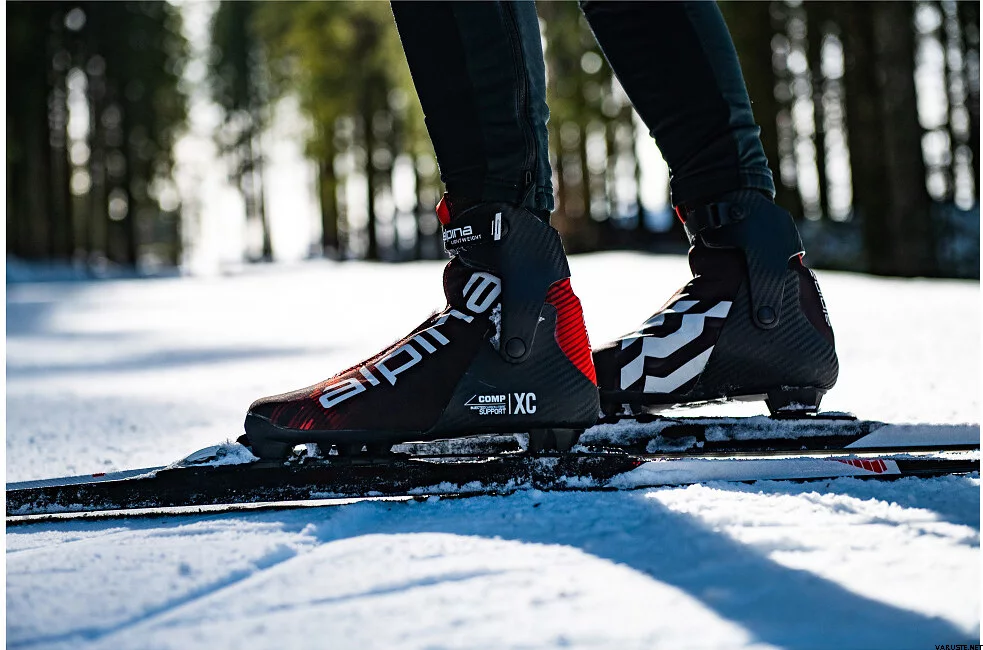 Ботинки лыжные ALPINA COMP SK