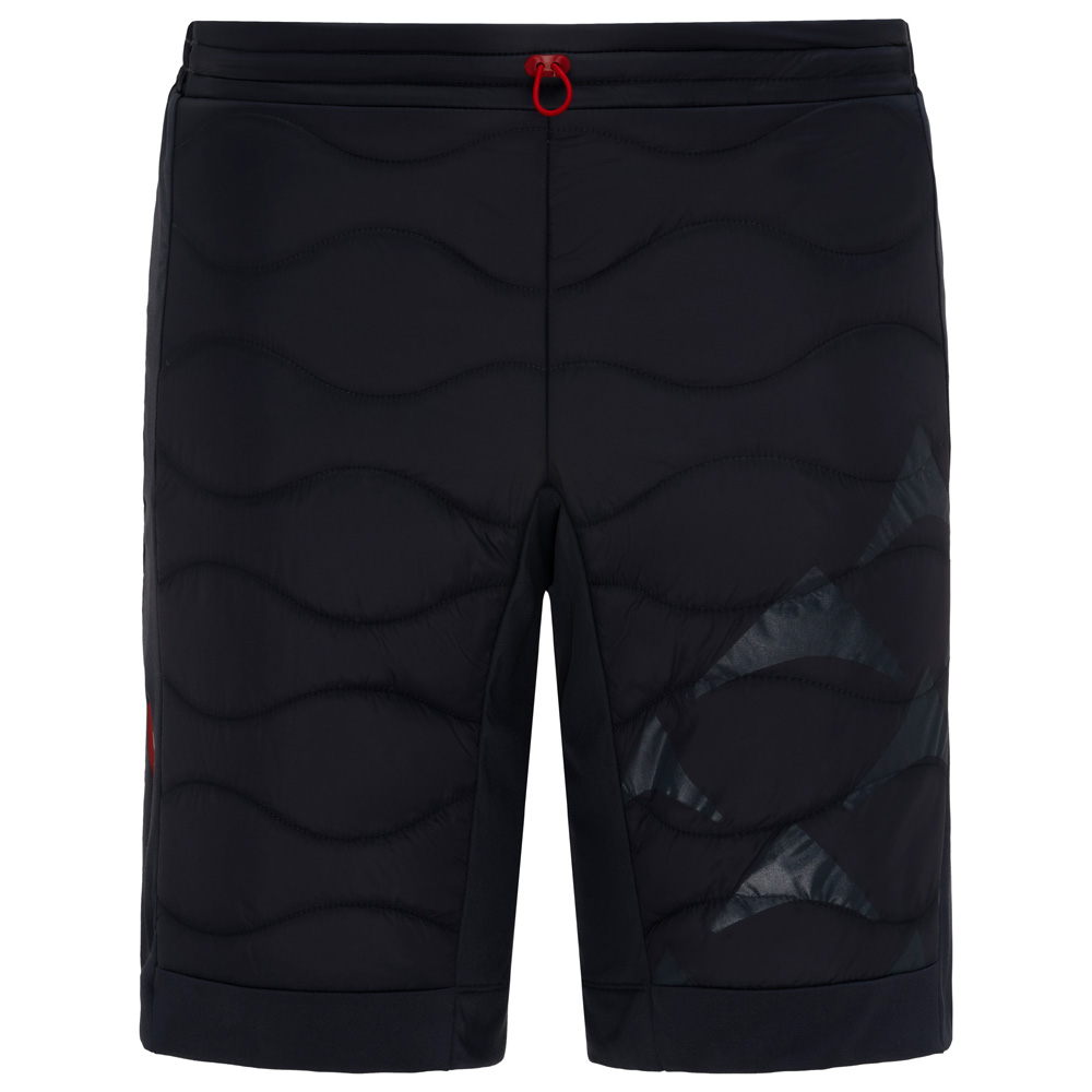 Шорты утепленные  BIVIUM Комфорт 3.0 мужск. (M, Графит)